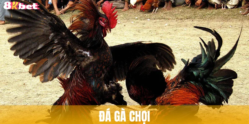 da-ga-choi